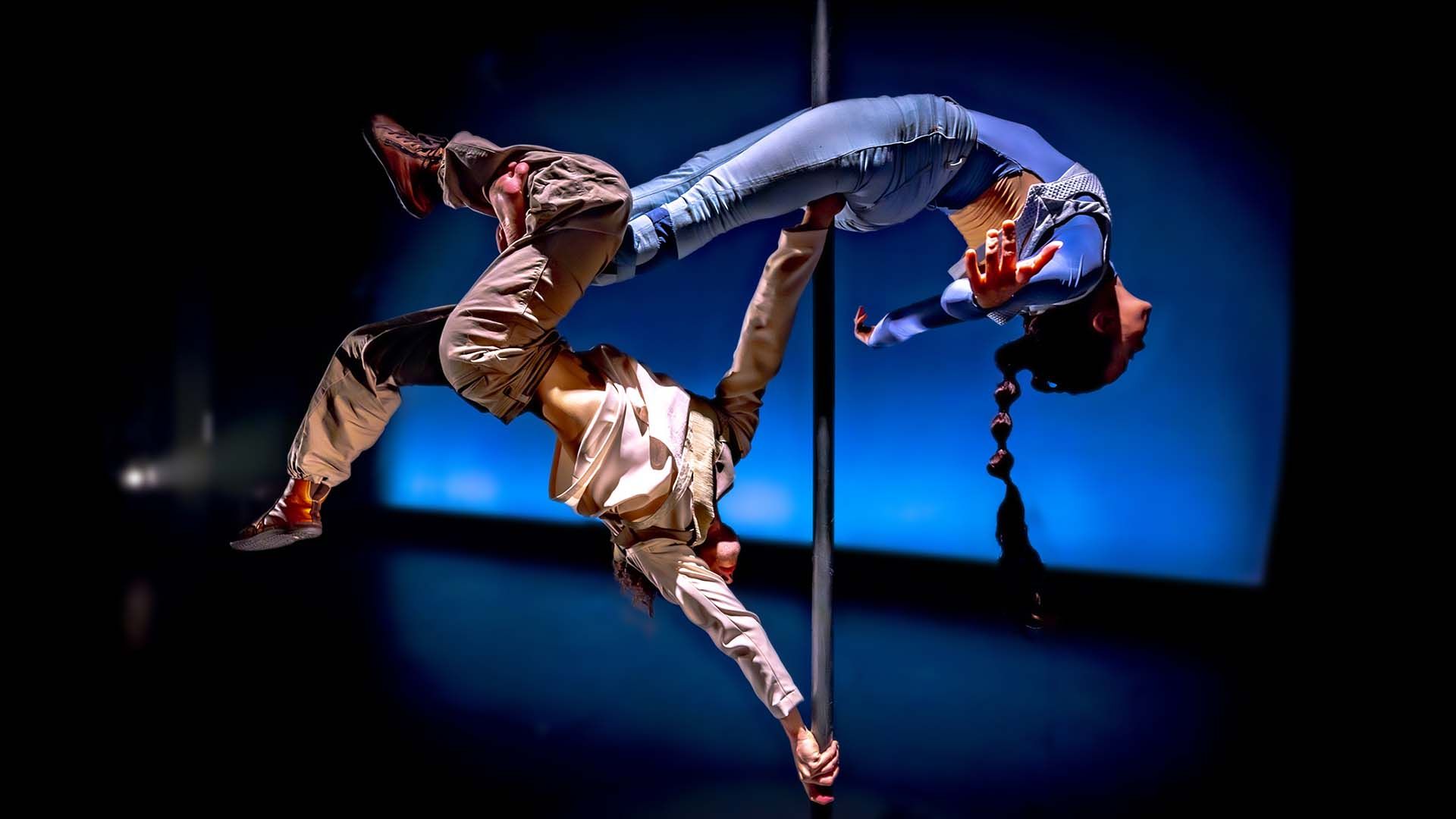 Zen del Sur — Xpectro