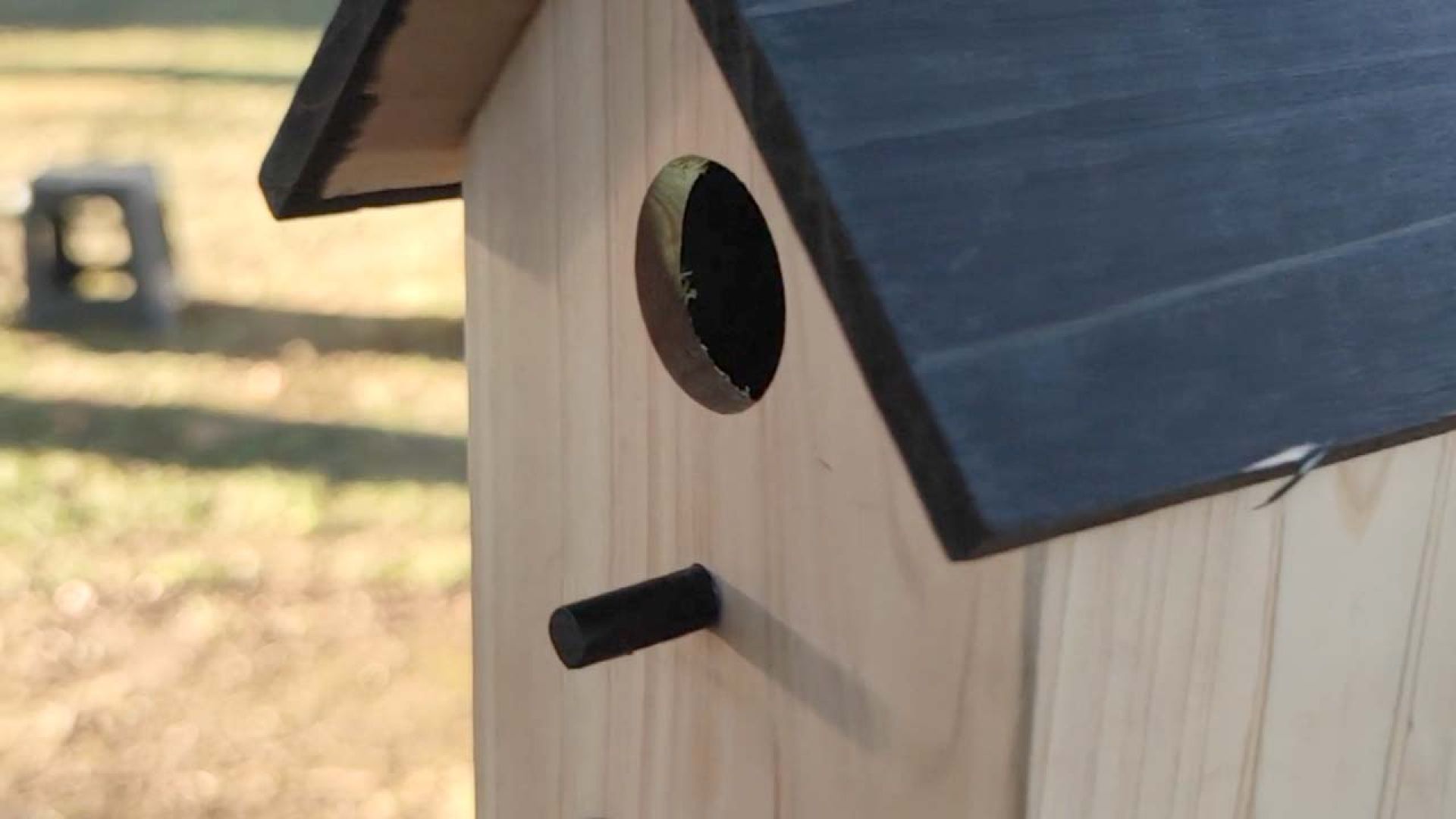 Versos que anidan. Instalación interactiva